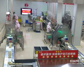 日產飲料8萬瓶 年產方便面120億包 帶你看看世界規模最大食品廠 速度最快的流水線