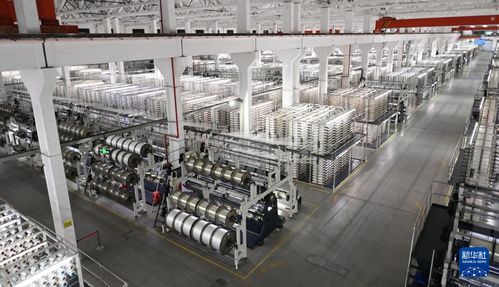 活力中國調研行 福建 向 新 逐 智 ,傳統產業長 新枝